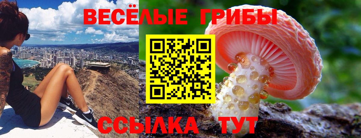 Псилоцибиновые грибы мухоморы Протвино